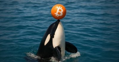جالاكسي ديجيتال تنقل 447 مليون دولار من البيتكوين إلى البورصات، مما يثير تكهنات بشأن بيع محتمل
